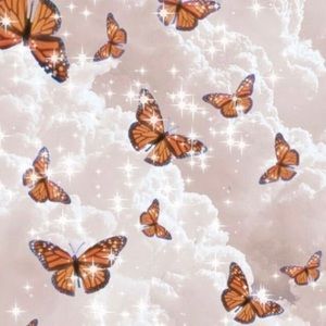 Meet your Posher, Shayya